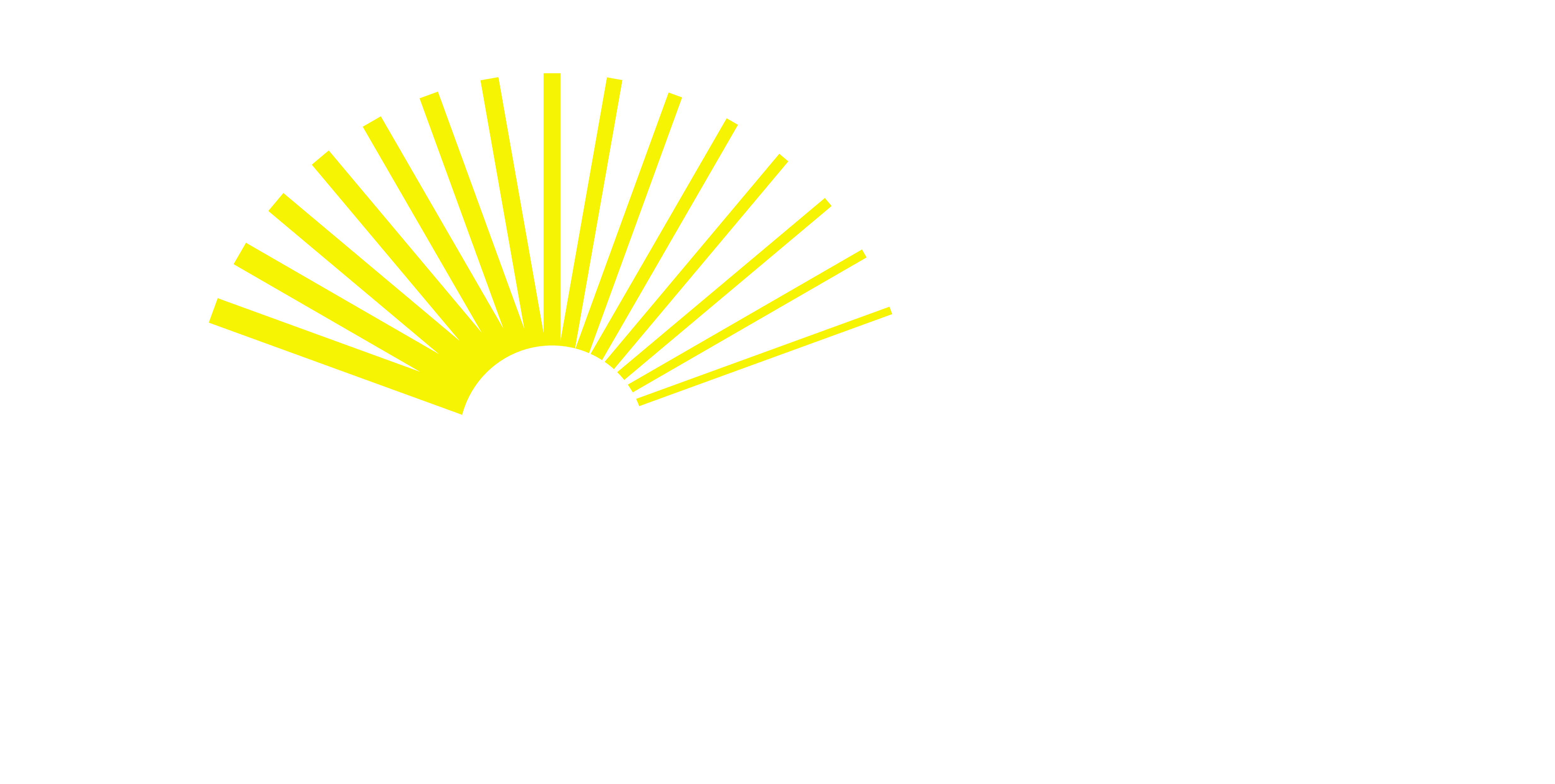 Shimmr AI